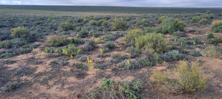 3 Bedroom Property for Sale in Nieuwoudtville Northern Cape